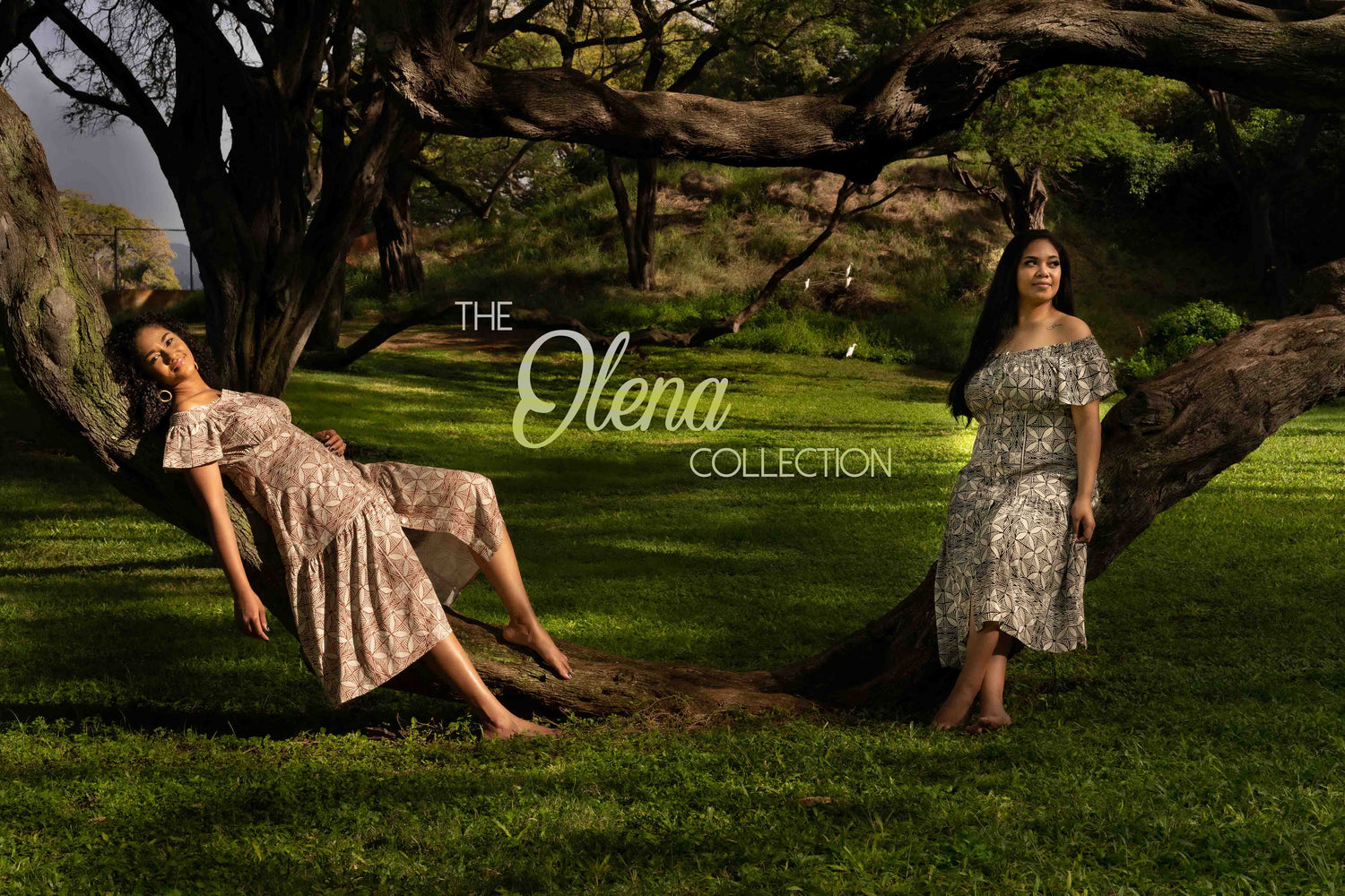 The Olena Collection